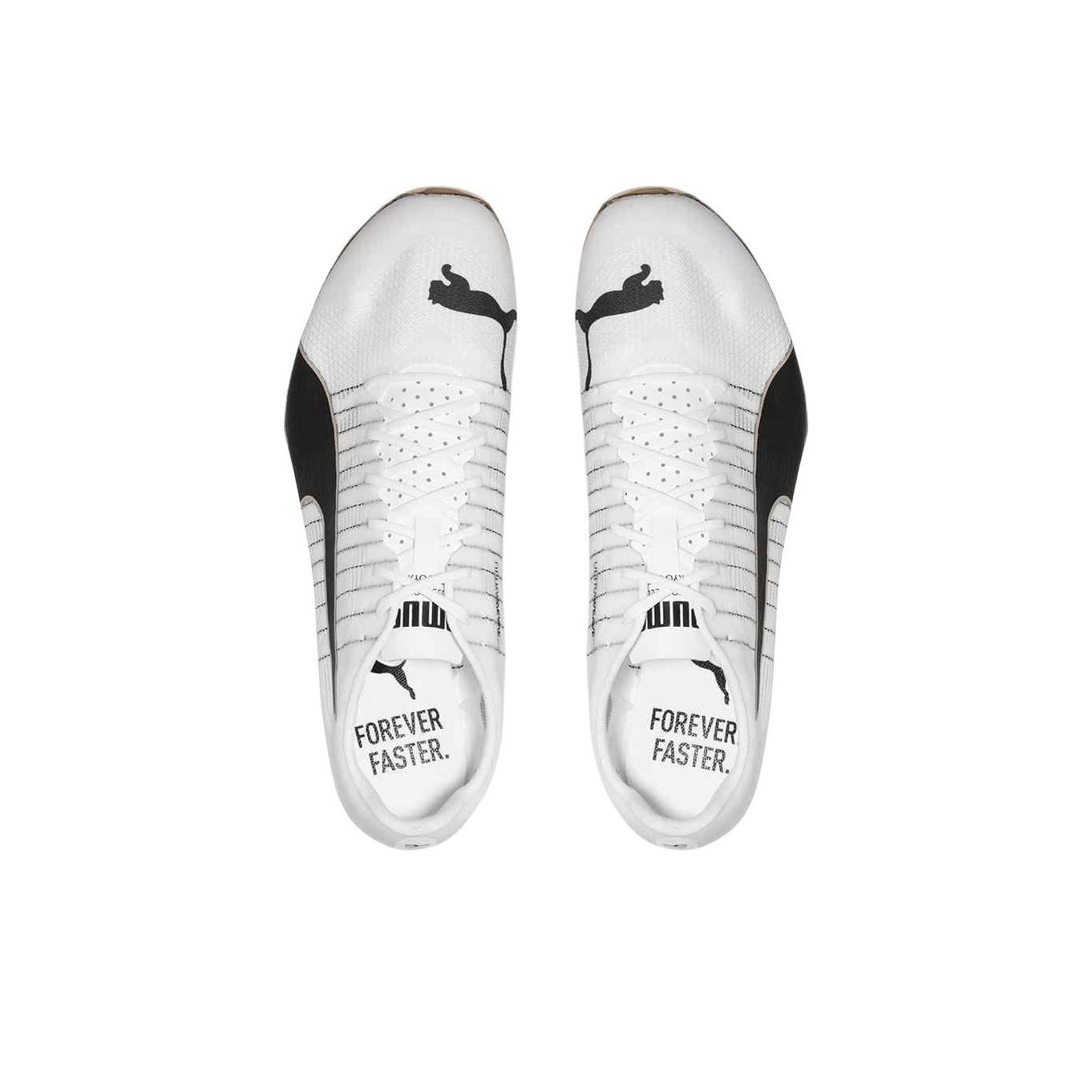 PUMA EvoSPEED 400 Nitro 2 Low- - Men Shoes Puma recensie en prijs